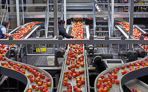 yth2206游艇会恭贺清涧北国枣业公司斥资 3.4亿正式投产 