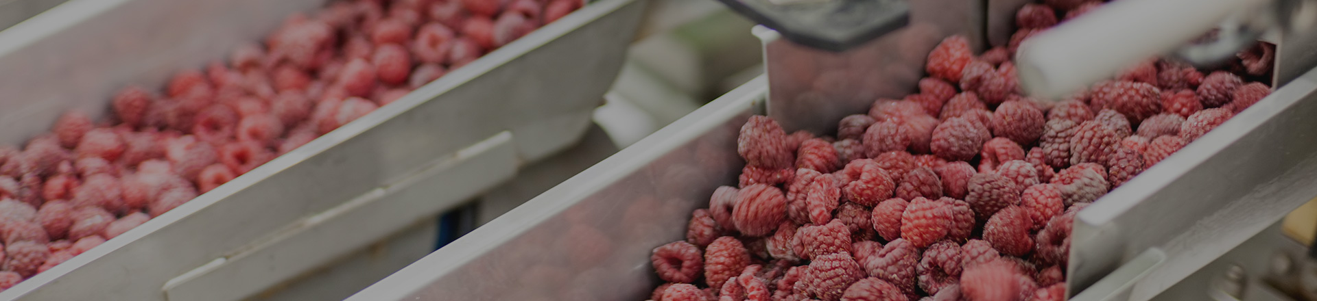 关于yth2206游艇会