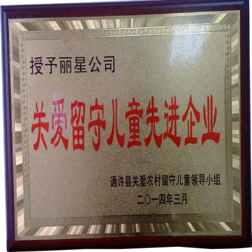 W66利来官网公司留守儿童关爱先进企业