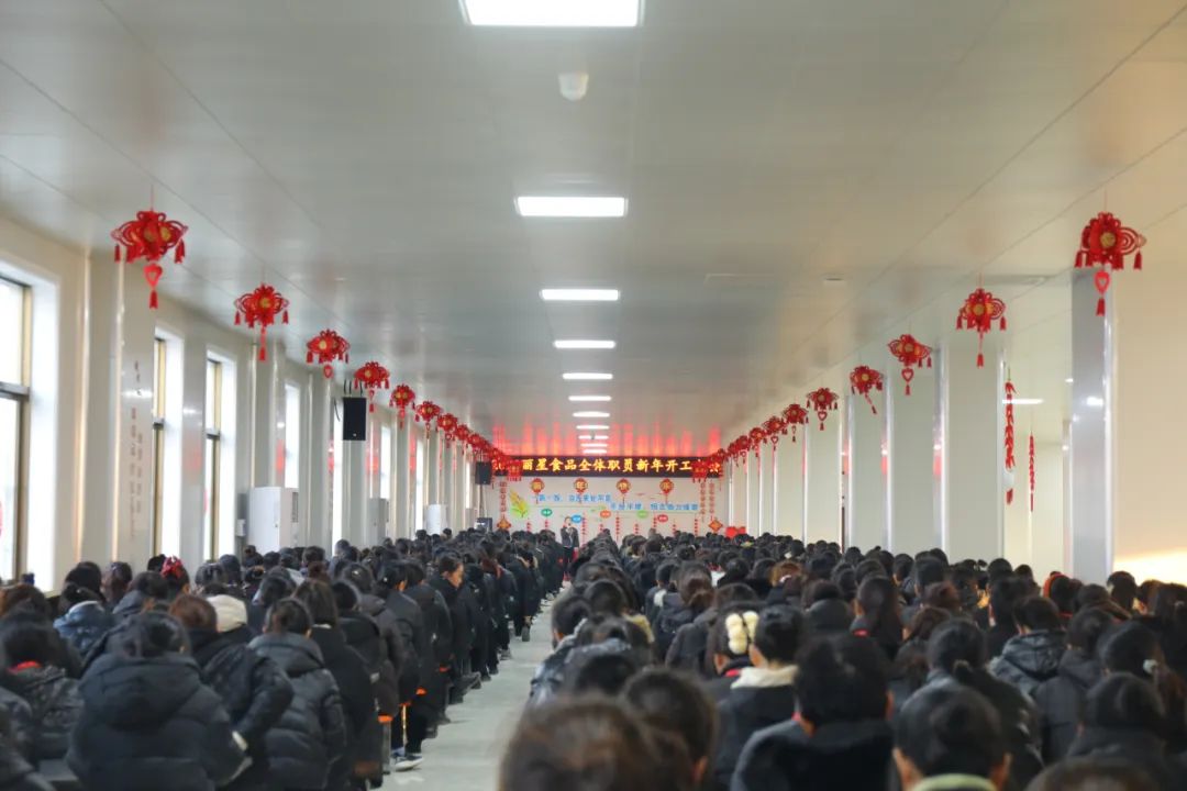 玉兔迎新春，奋进新征程