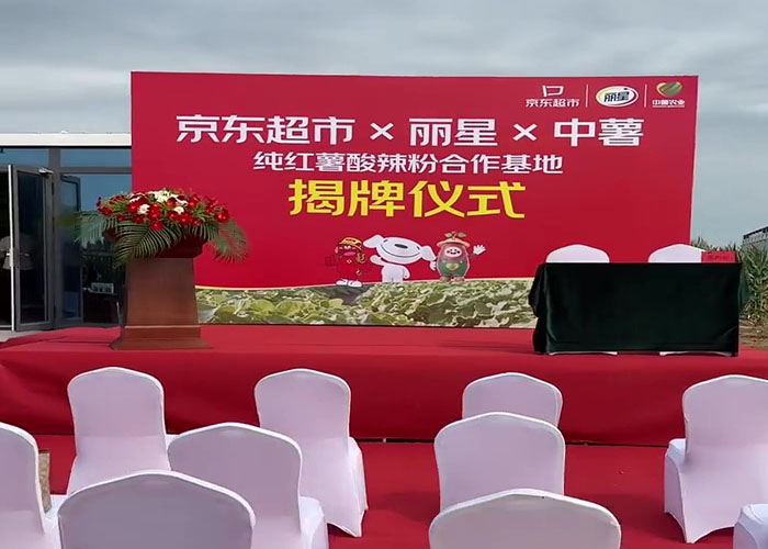 三方联建红薯基地，W66利来官网粉丝加工设备主题优势显著