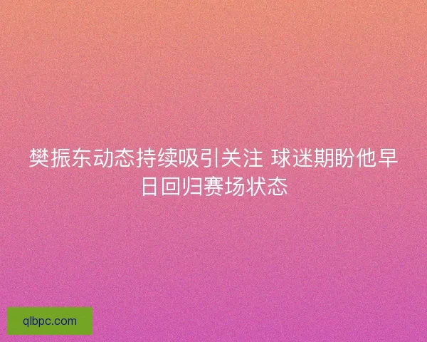 樊振东动态持续吸引关注 球迷期盼他早日回归赛场状态