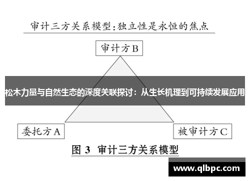 松木力量与自然生态的深度关联探讨：从生长机理到可持续发展应用